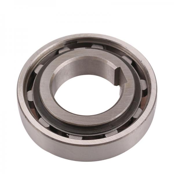 Sprag clutch bearing US10 AS10