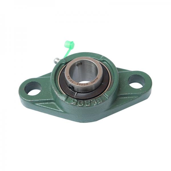 cast iron two bolt flange bearing pillow block housing UCFL205